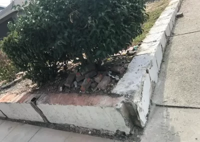 Residential Landscaping Services
